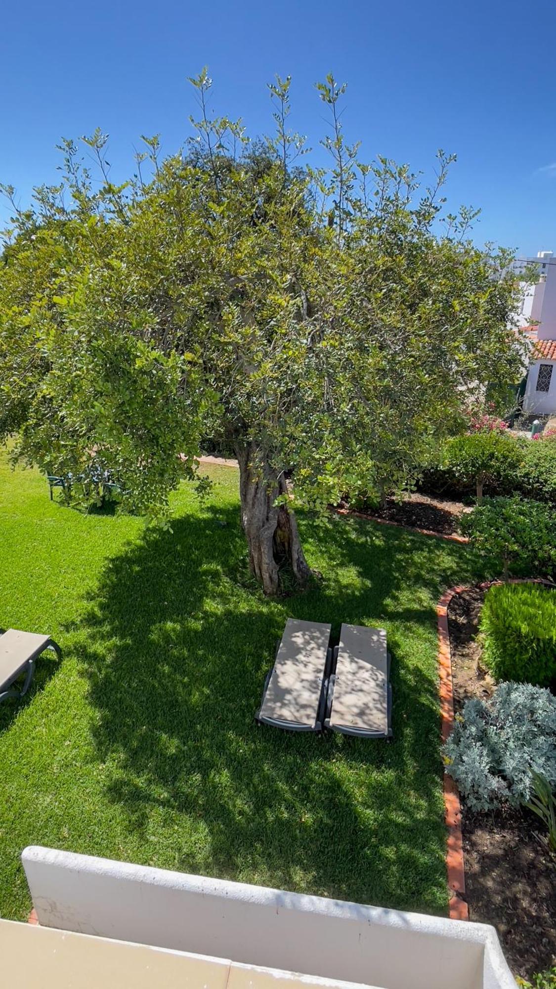 Verde Pino Vilamoura Exterior foto